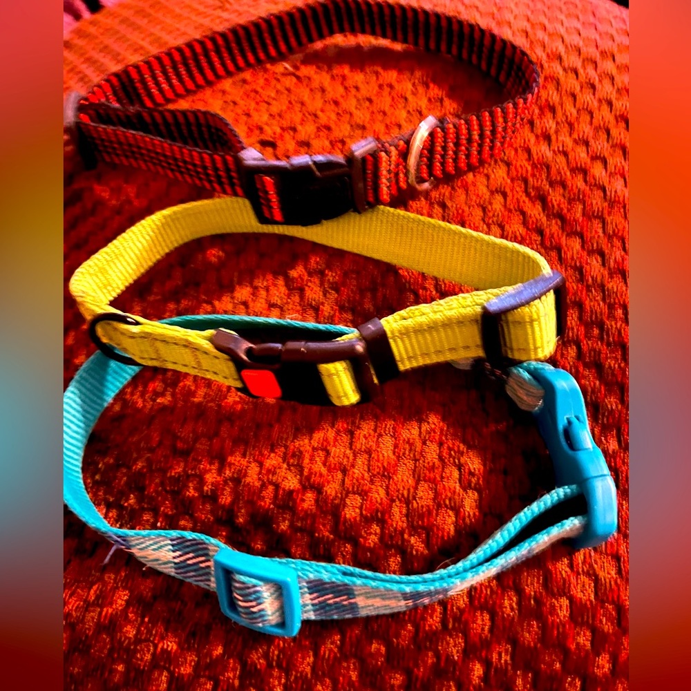 The 3 Medium Dog Collar bundle